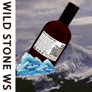 WILD STONE 100 ml